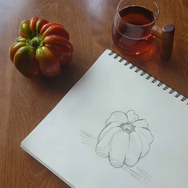 Drawing Class for Adult Beginners Seattle | Gifts | ClassBento