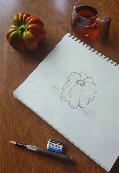 Drawing Class for Adult Beginners Seattle | Gifts | ClassBento