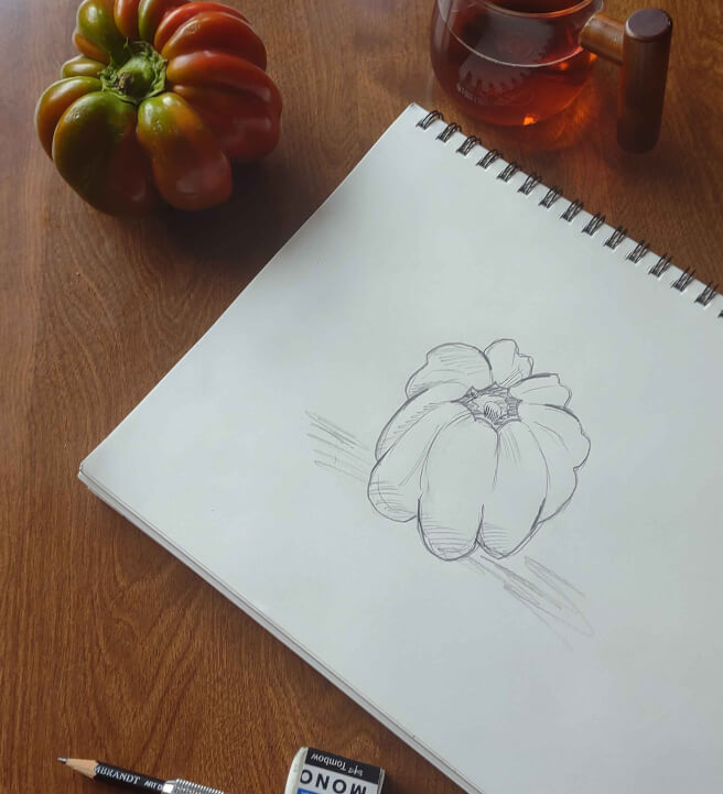 Drawing Class for Adult Beginners Seattle | Gifts | ClassBento