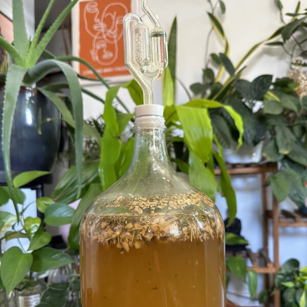 Mead Brewing Workshop
