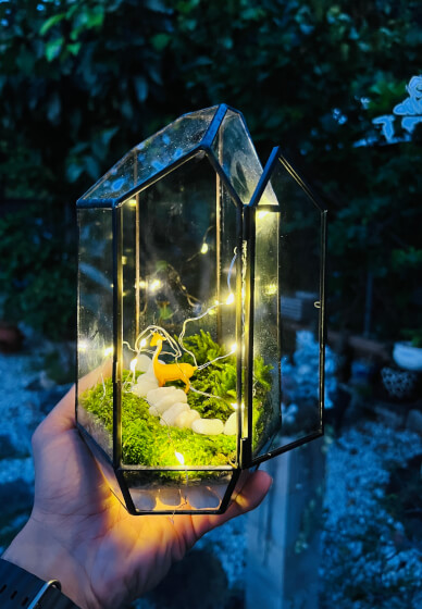 Terrarium Building Class: Wardian Case New Jersey | Events | ClassBento