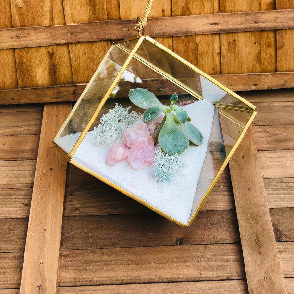 The Succulent Scene, Tustin