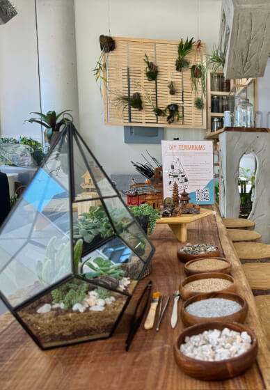 Mini-ecosystem Terrarium Making Workshop Los Angeles | ClassBento