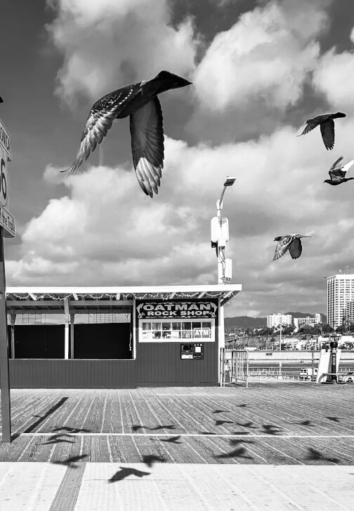 Smartphone Street Photography Workshop Los Angeles | ClassBento